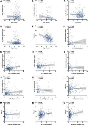 Leukocyte telomere length and mitochondrial DNA copy number associate with endothelial function in aging-related cardiovascular disease